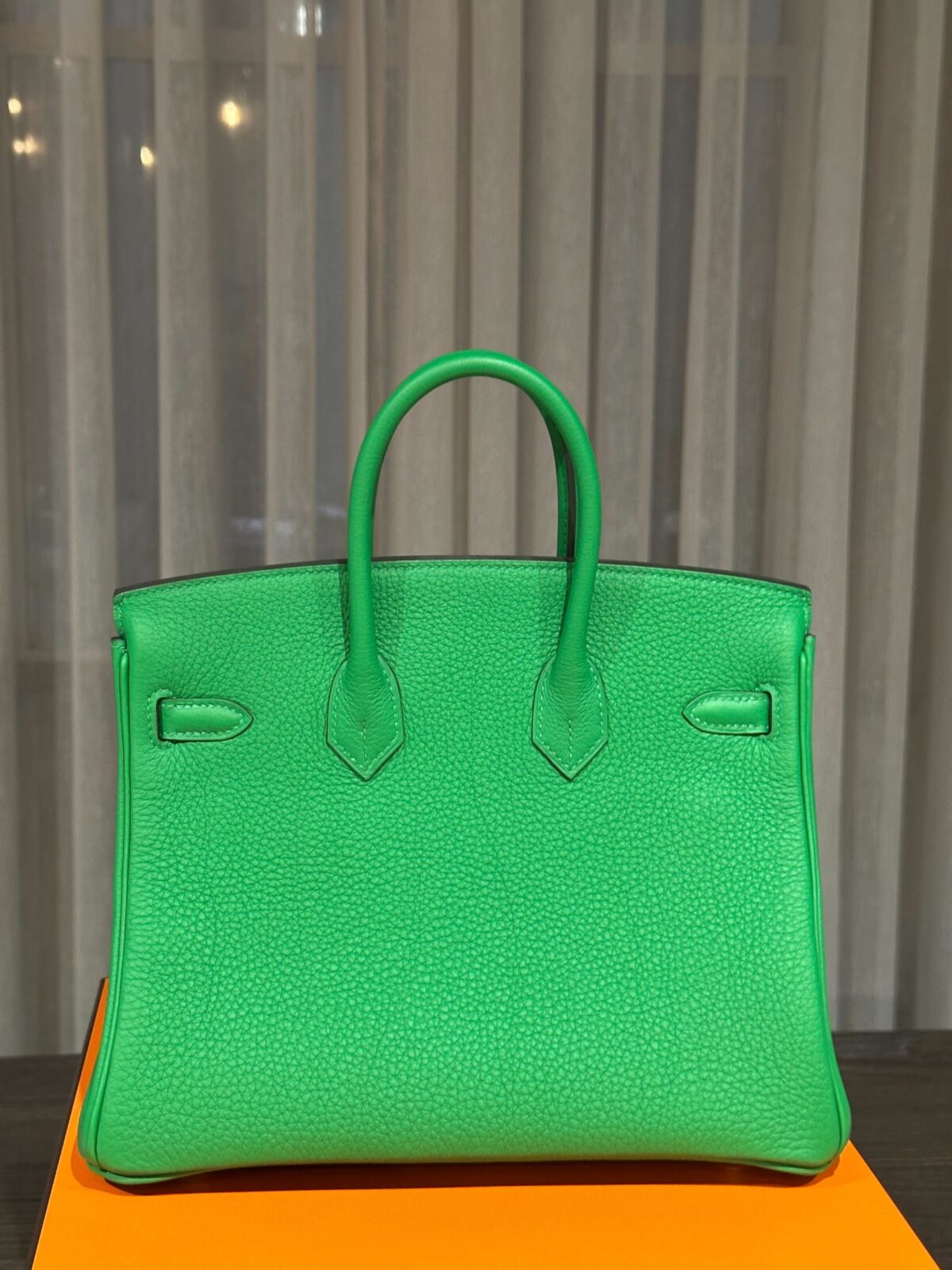 Hermès Birkin 25 Togo Calfskin Bambou Palladium Hardware - Image 5